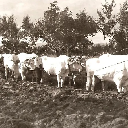 Tenuta La Fratta