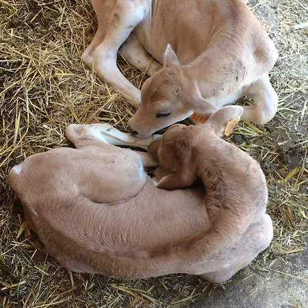 Tenuta La Fratta Agroturismo *