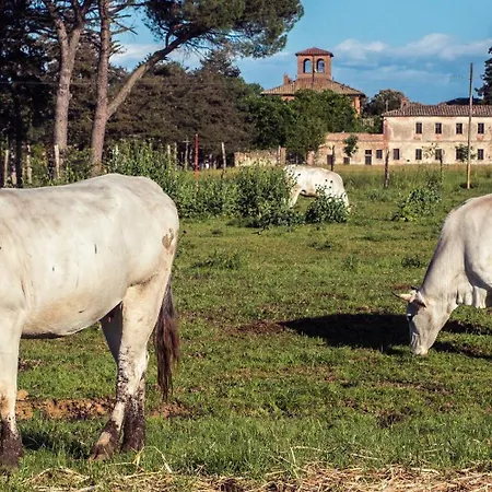 Tenuta La Fratta Sinalunga