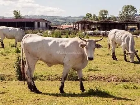 Tenuta La Fratta Sinalunga