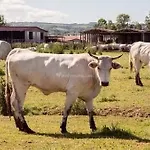 Tenuta La Fratta Sinalunga