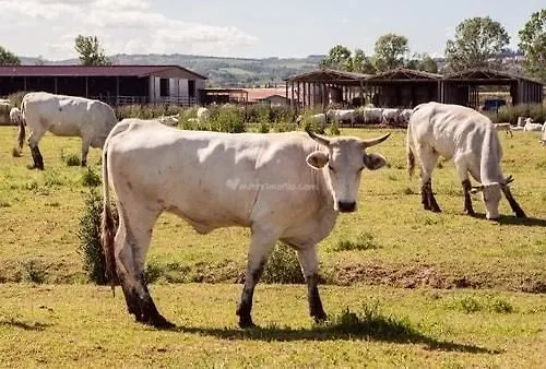 Tenuta La Fratta Sinalunga